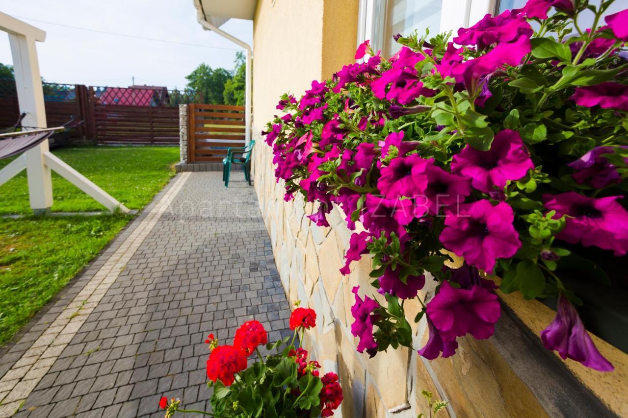 Apartament Izabel Nowy Targ Extérieur photo